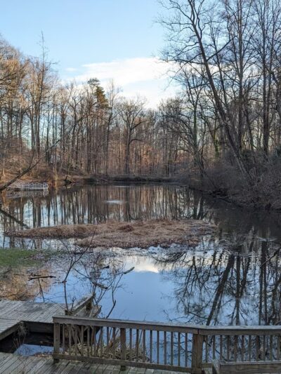 Hidden Pond Nature Center - West Springfield, VA