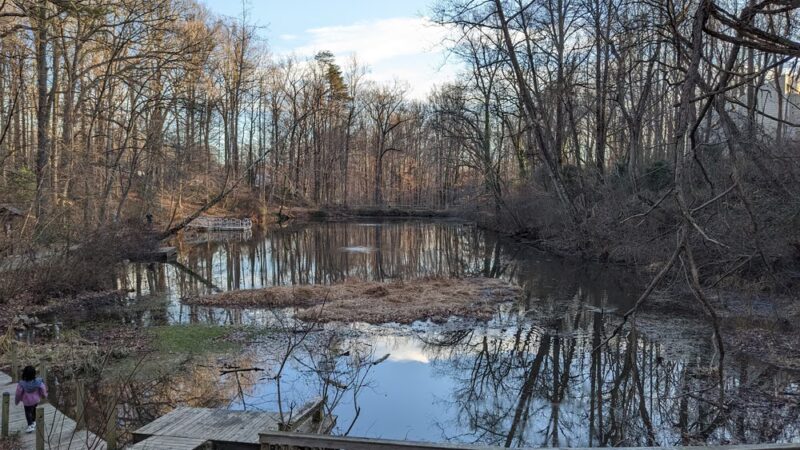 Hidden Pond Nature Center - West Springfield, VA