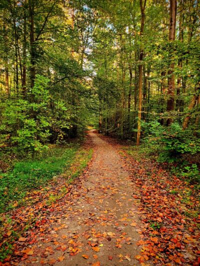 Hidden Pond Nature Center - West Springfield, VA