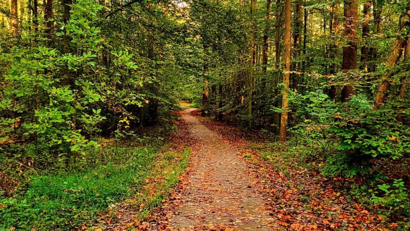 Hidden Pond Nature Center - West Springfield, VA