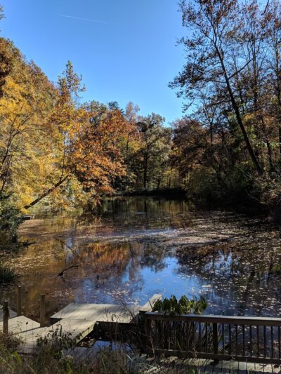 Hidden Pond Nature Center - West Springfield, VA