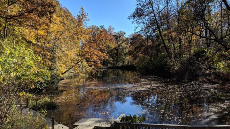 Hidden Pond Nature Center - West Springfield, VA