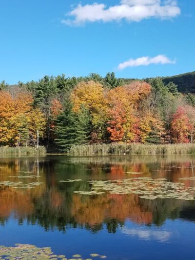 Card Pond - West Stockbridge, MA