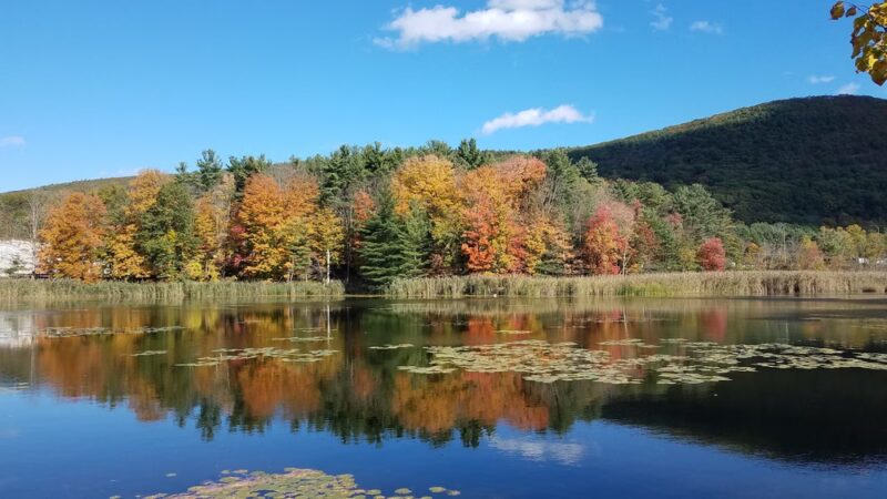 Card Pond - West Stockbridge, MA