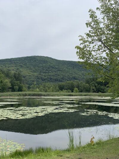 Card Pond - West Stockbridge, MA
