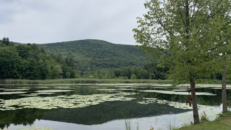 Card Pond - West Stockbridge, MA