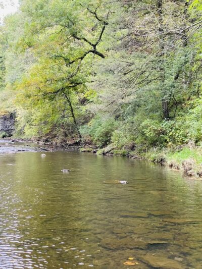 Echo Valley State Park - West Union, IA