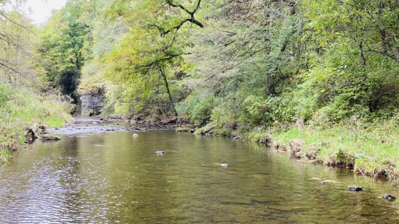 Echo Valley State Park - West Union, IA