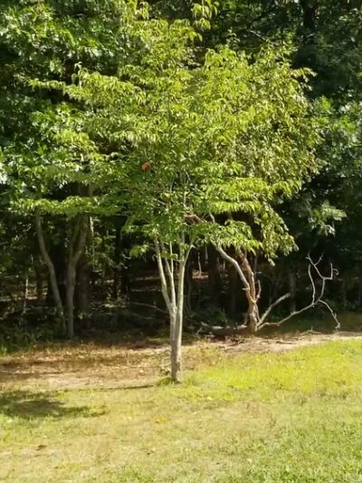 Mercer County Park - West Windsor Township, NJ