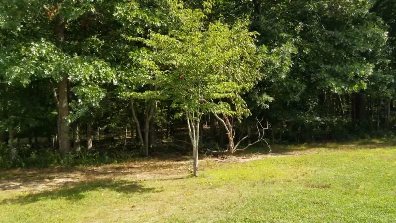 Mercer County Park - West Windsor Township, NJ
