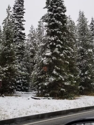 KOA Campsite Dog Park - West Yellowstone, MT