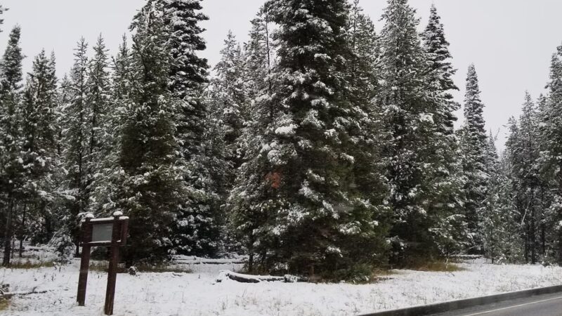 KOA Campsite Dog Park - West Yellowstone, MT