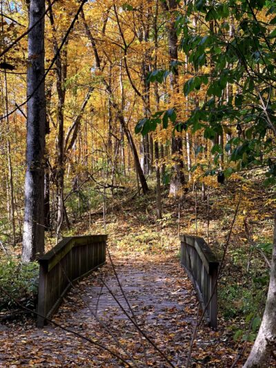 Macgregor Park - Westfield, IN