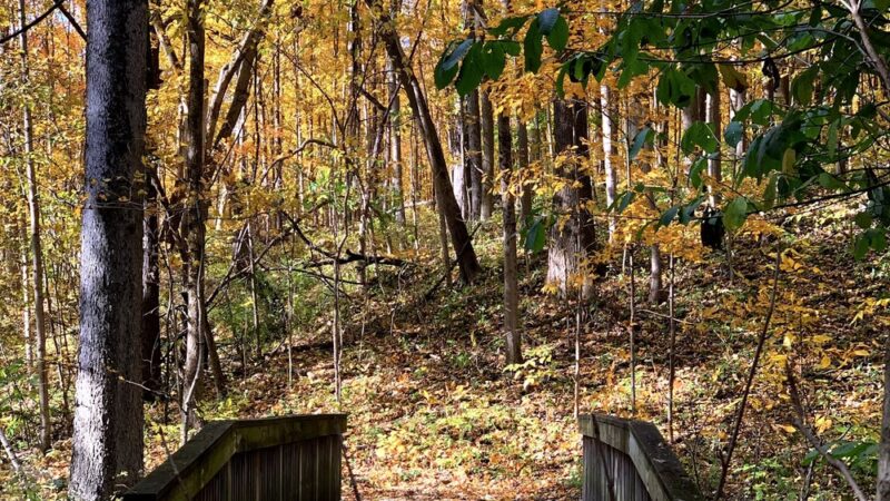 Macgregor Park - Westfield, IN