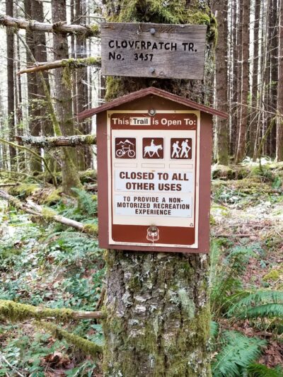 Cloverpatch Trailhead - Westfir, OR