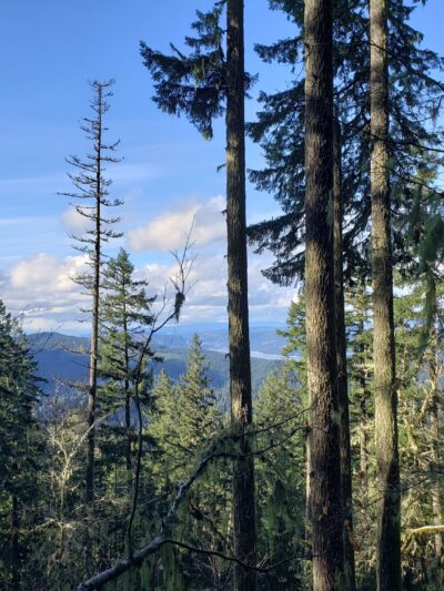 Hardesty Trailhead - Lower - Westfir, OR