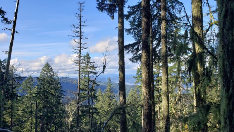 Hardesty Trailhead - Lower - Westfir, OR