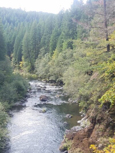 North Fork Trail Trailhead (Segment 1) - Westfir, OR