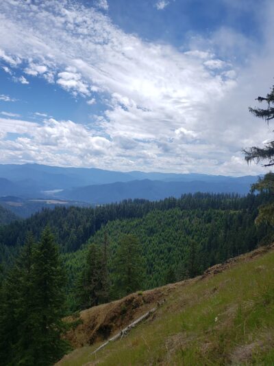 Tire Mountain Trailhead - Westfir, OR