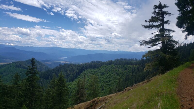 Tire Mountain Trailhead - Westfir, OR