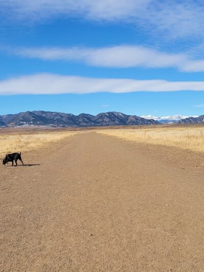 OPEN Space Offleash Dog Area. - Westminster, CO