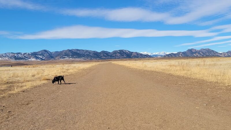 OPEN Space Offleash Dog Area. - Westminster, CO