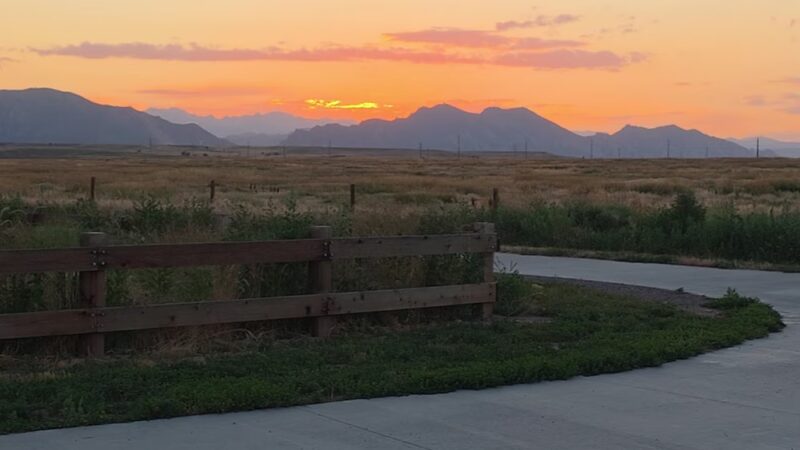 OPEN Space Offleash Dog Area. - Westminster, CO