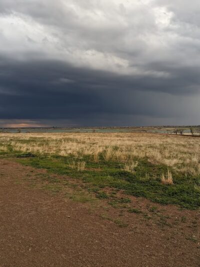 OPEN Space Offleash Dog Area. - Westminster, CO