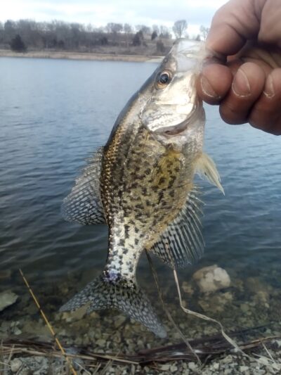 Pottawatomie County State Lake #1 - Westmoreland, KS