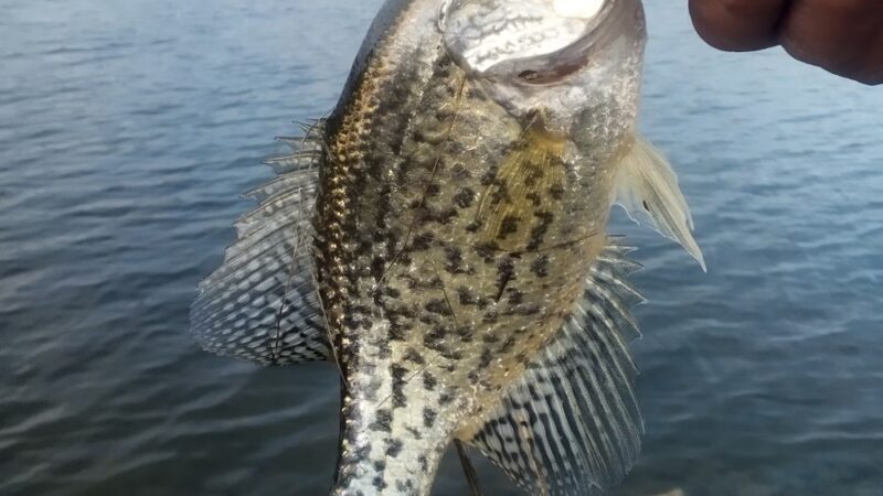 Pottawatomie County State Lake #1 - Westmoreland, KS