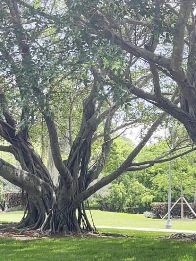 Country isles park - Weston, FL