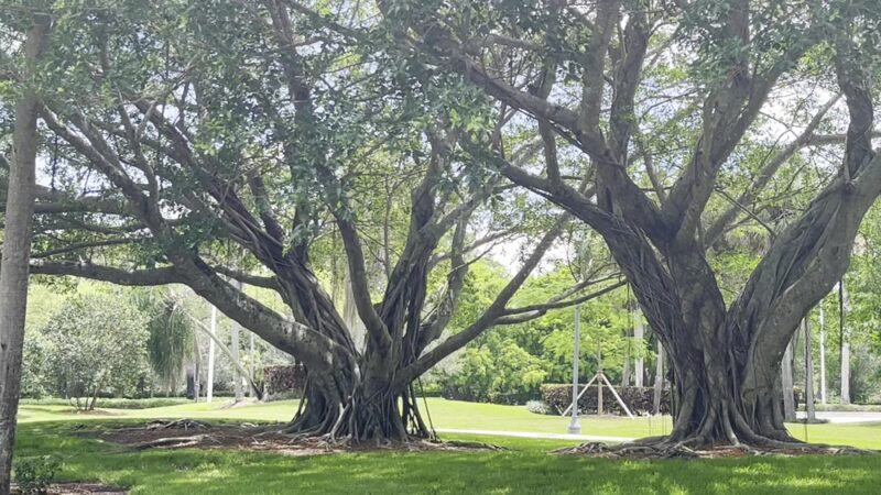 Country isles park - Weston, FL