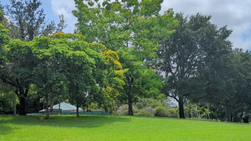 Gator Run Park - Weston, FL