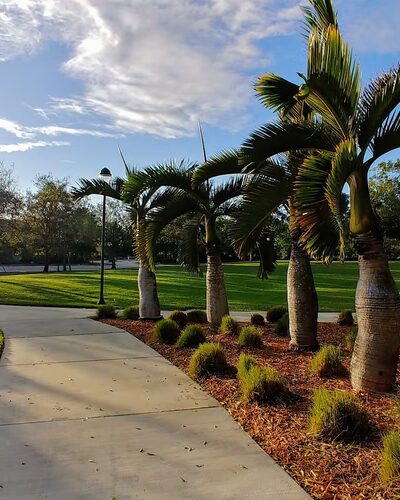 Gator Run Park - Weston, FL