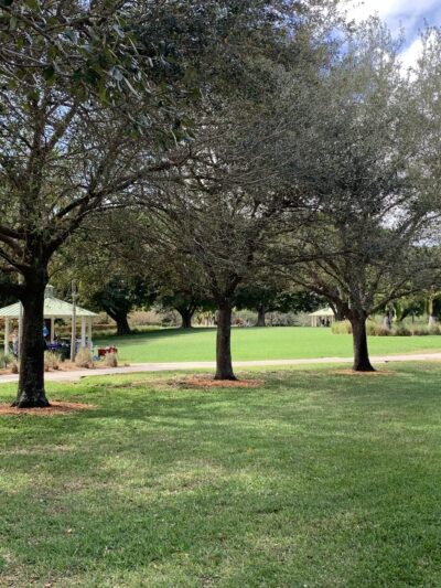 Gator Run Park - Weston, FL