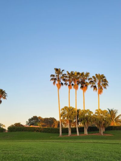 Heron Park - Weston, FL