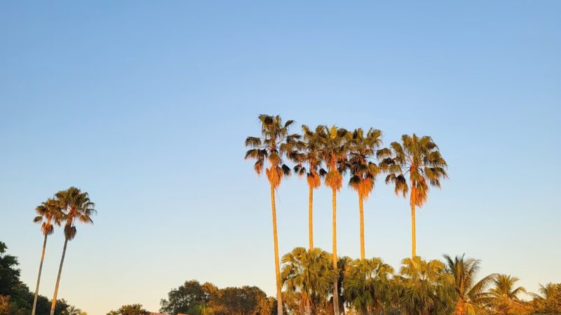 Heron Park - Weston, FL