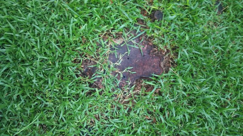 Heron Park - Weston, FL