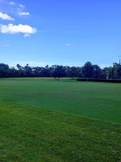 Indian Trace Park - Weston, FL