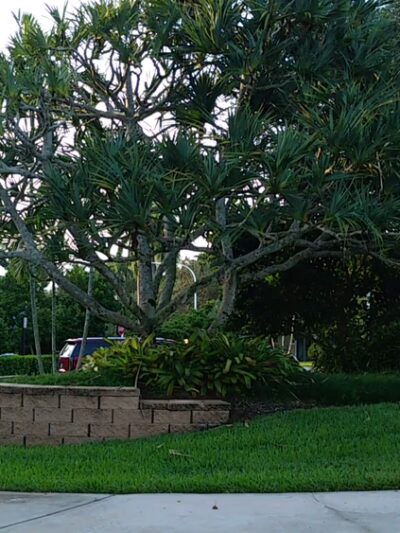 Peace Mound Park - Weston, FL