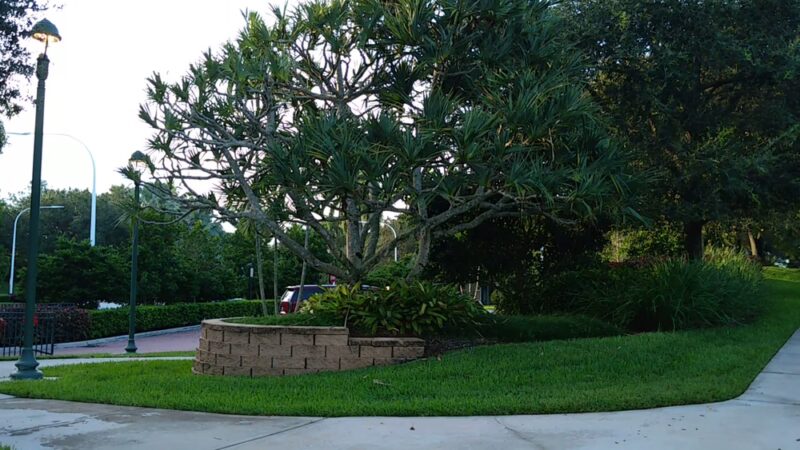 Peace Mound Park - Weston, FL