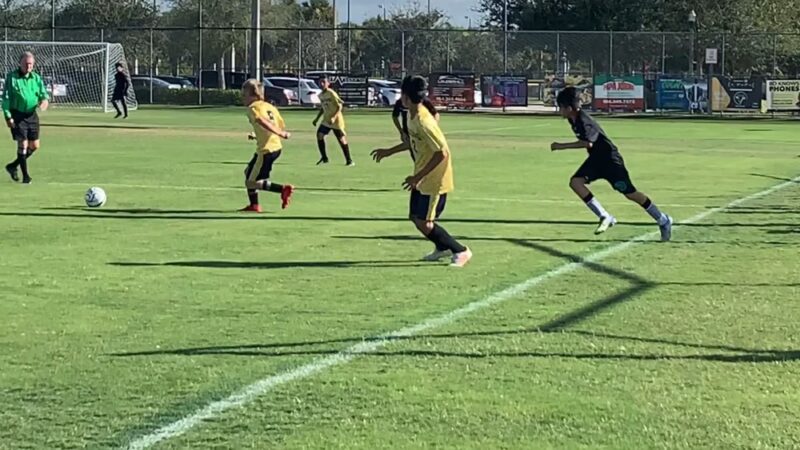 Vista Park - Weston, FL