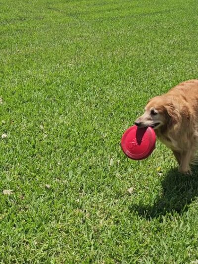 Windmill Ranch Park - Weston, FL