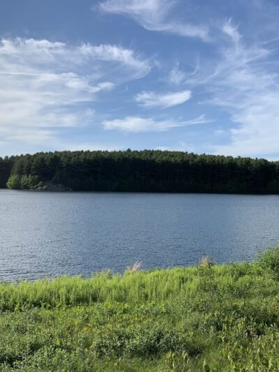 Reservoir Walking Trail / Weston - Weston, MA