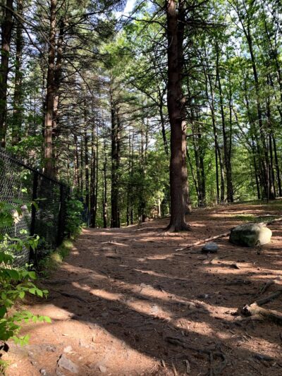 Reservoir Walking Trail / Weston - Weston, MA