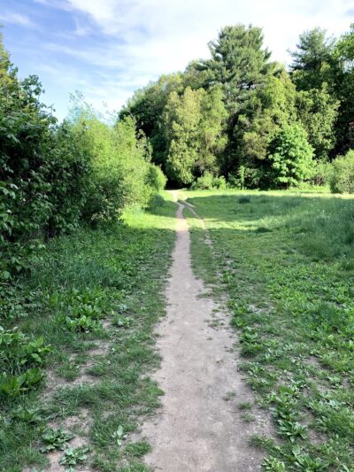 Reservoir Walking Trail / Weston - Weston, MA