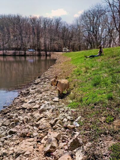 Painted Rock Conservation Area - Westphalia, MO