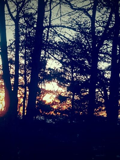 Robert Street Park - Wharton, NJ