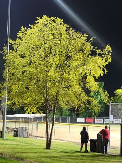 Wheatland Lions Park - Wheatland, IA