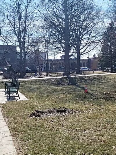 Adams Park - Wheaton, IL